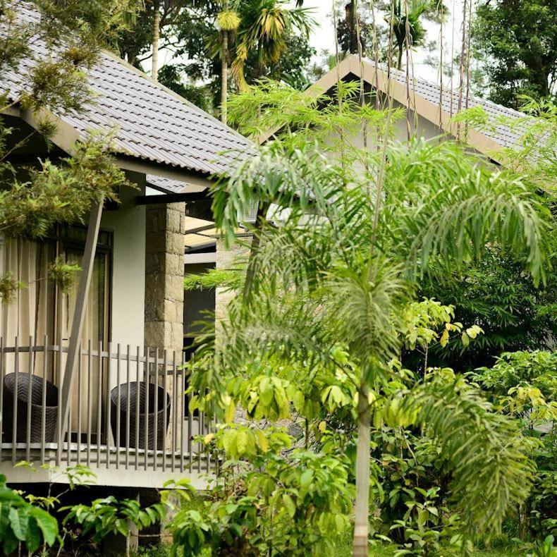 Coffee Greens Resort Wayanad Ngoại thất bức ảnh